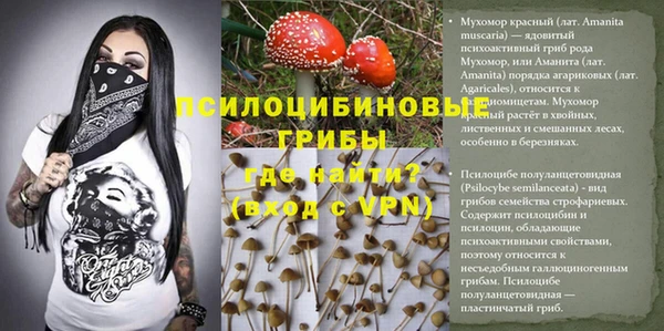 прущие крисы Верхний Тагил
