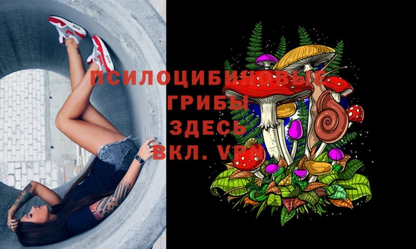 прущие крисы Верхний Тагил