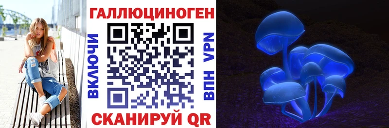 Псилоцибиновые грибы Cubensis  Новосибирск 